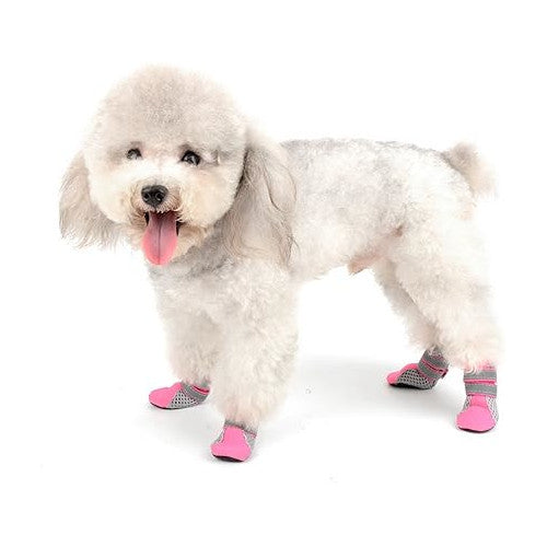 Chausson Chien Anti Chaleur