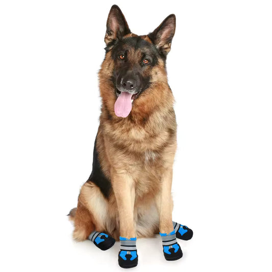 Chaussure Montagne Chien