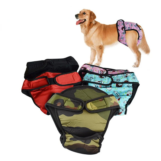 Couche pour Chien Incontinence