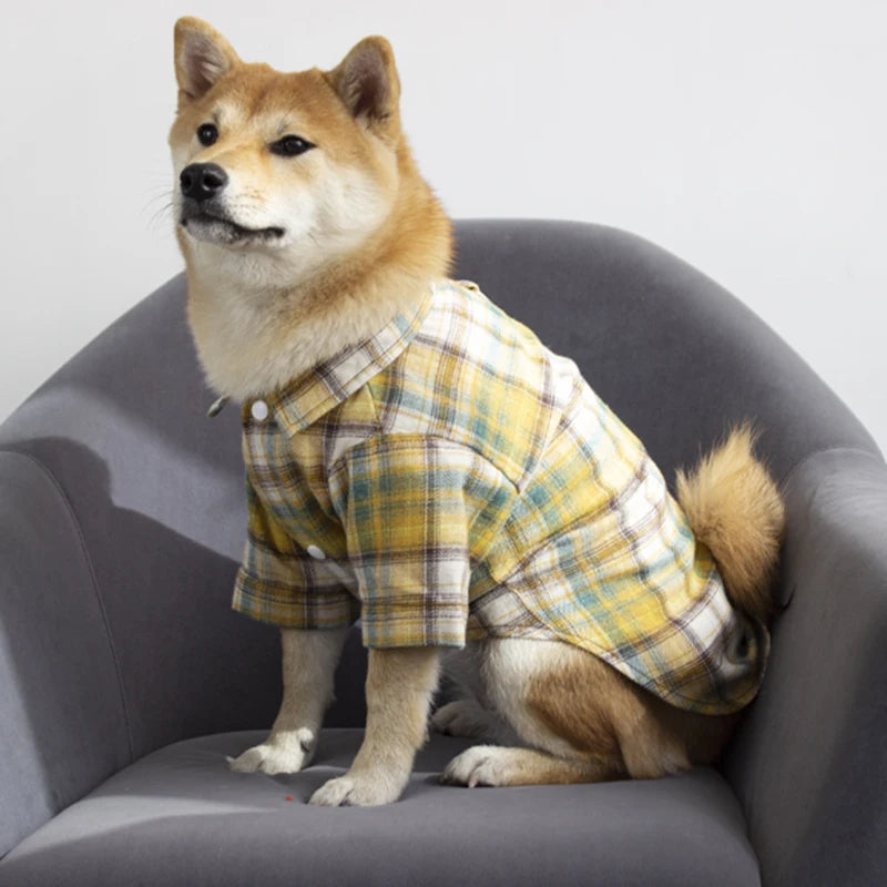 Chemise Bucheron pour Chien