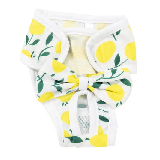 Culotte Hygiénique pour Chienne