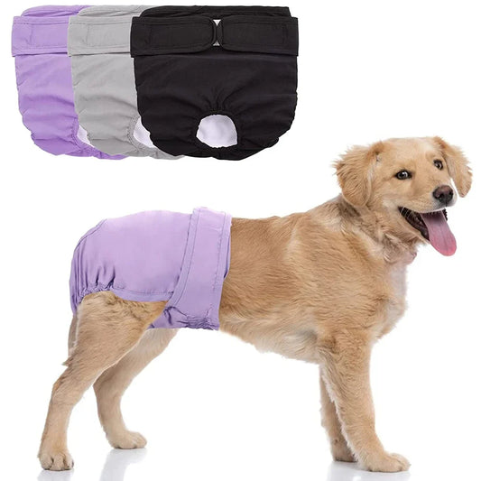 Couche pour Chien Règle / Incontinence