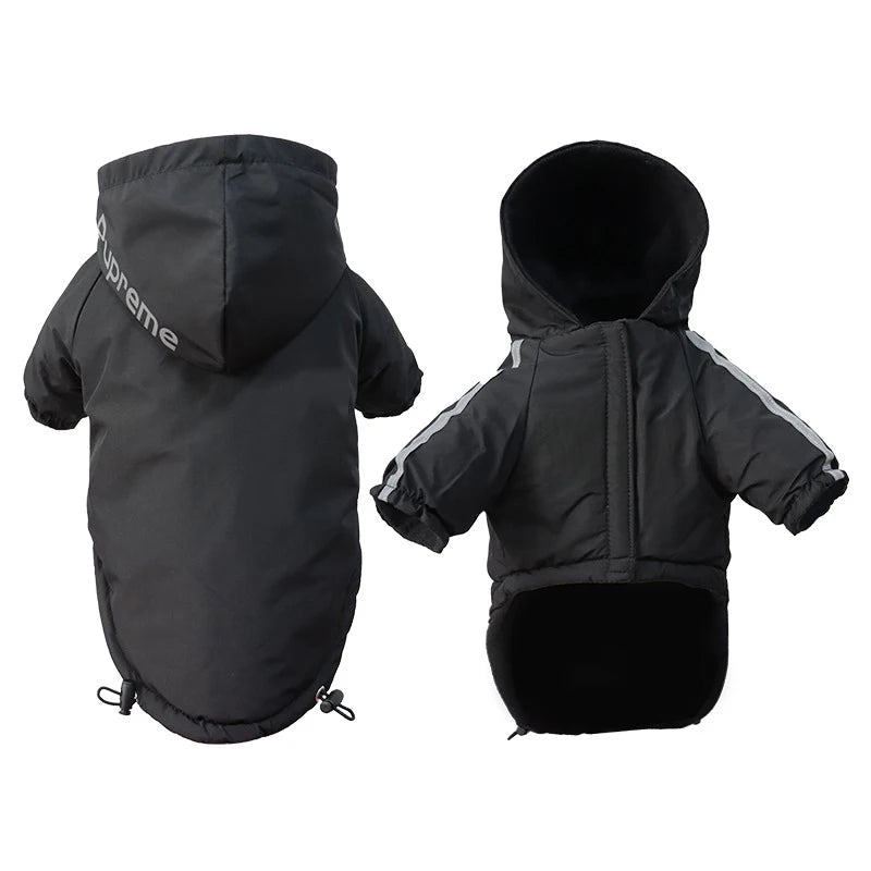 anorak chien noir