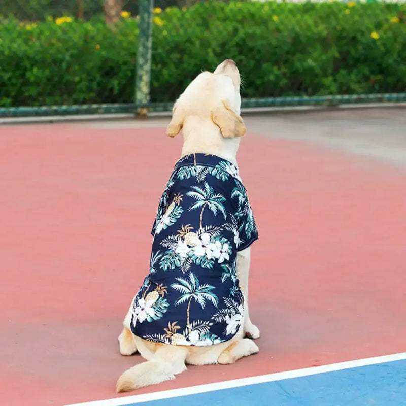 Chemise Palmiers Bleu Chien