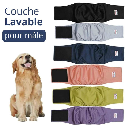 Couche pour Chien Mâle Lavable