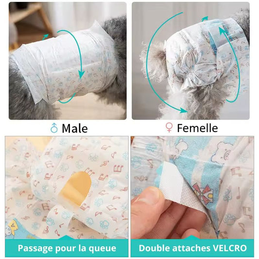 Couches Jetables pour Chien (10 Pcs)