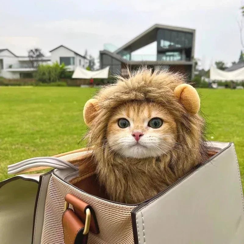Costume de Lion pour Chat