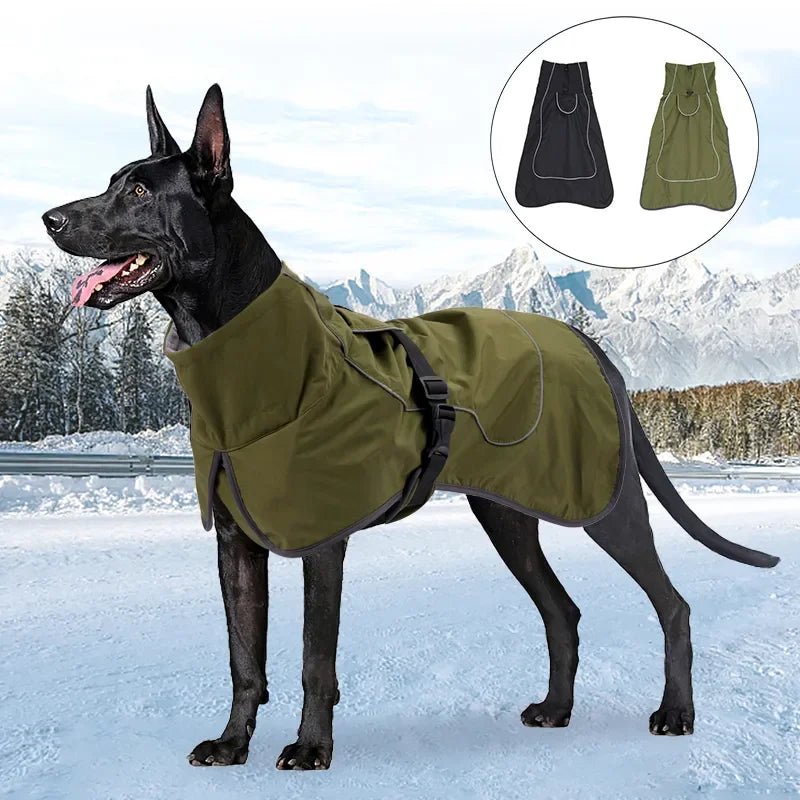 manteau chien équitation