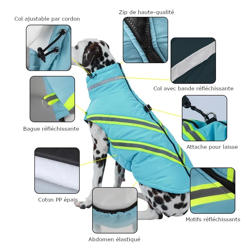 Manteau fluo pour chien sale