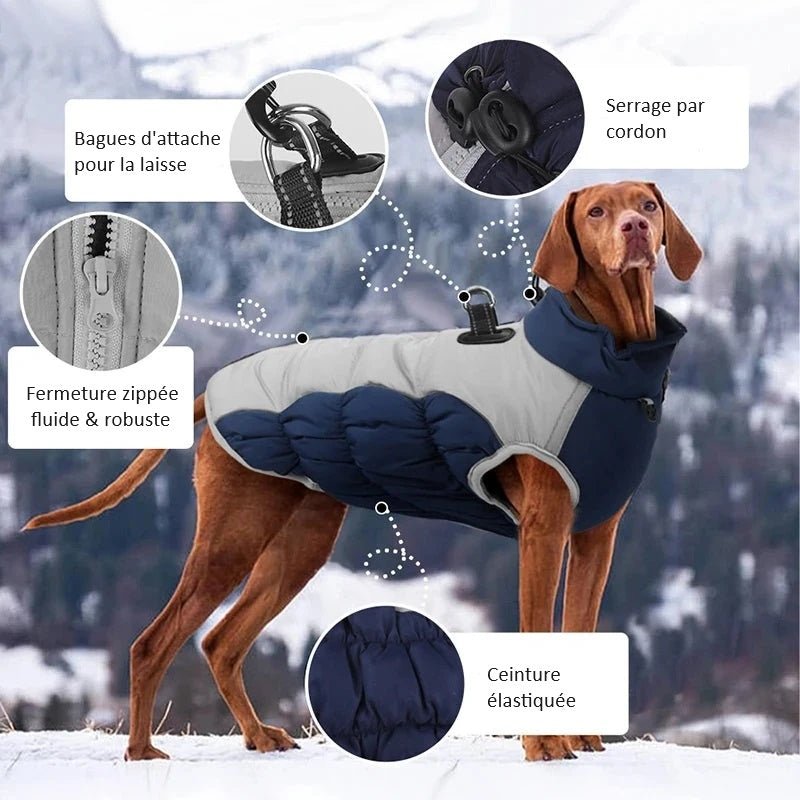 Chien Impermeable Manteau Pour Berger Allemand Manteau Pour