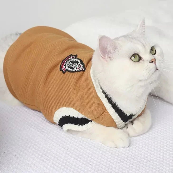 Pull College Marron Chat
