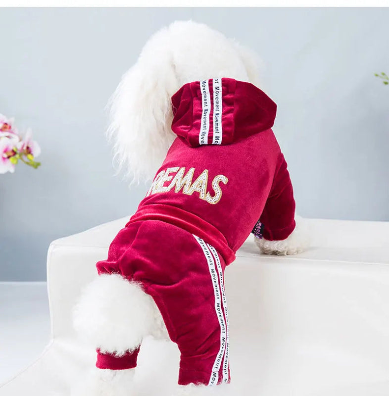 Pyjama Caniche Strass Paillettes