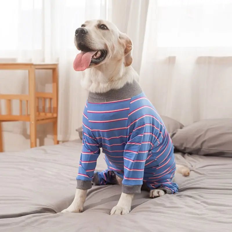 Pyjama pour grand chien sale
