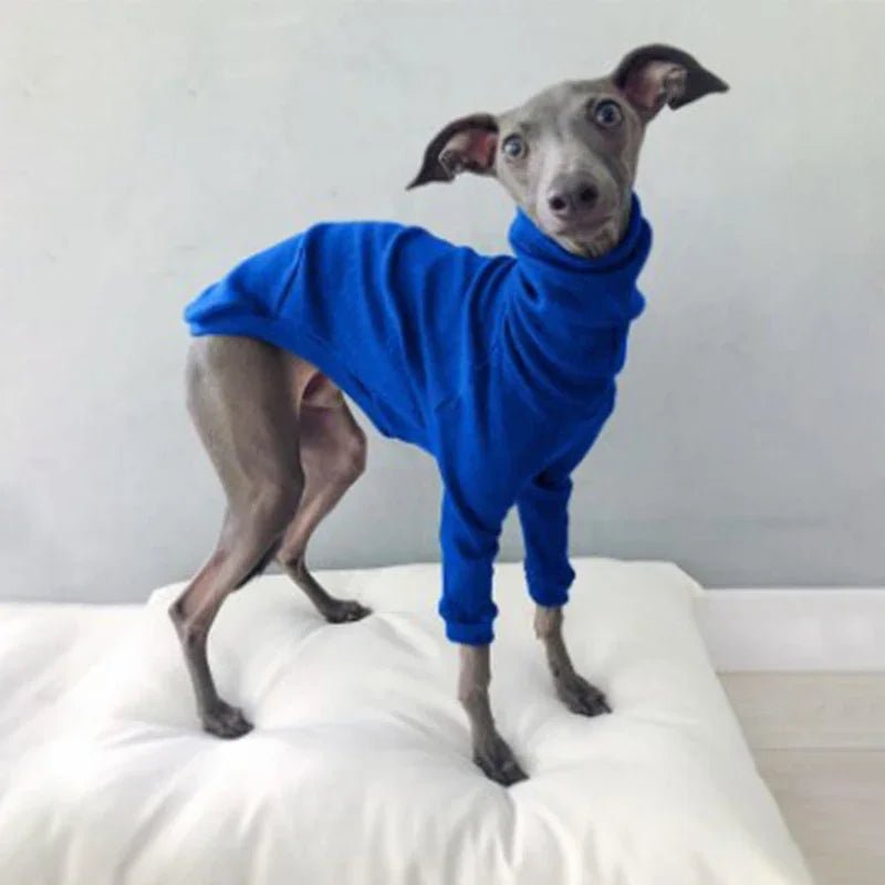 Pyjama pour Whippet Bleu