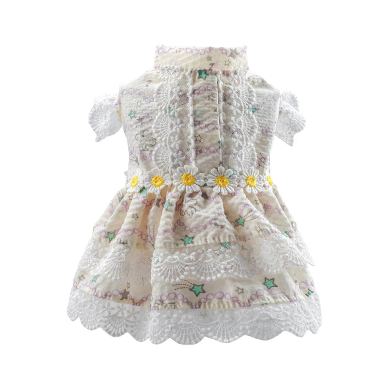 Robe Chat Pacretes
