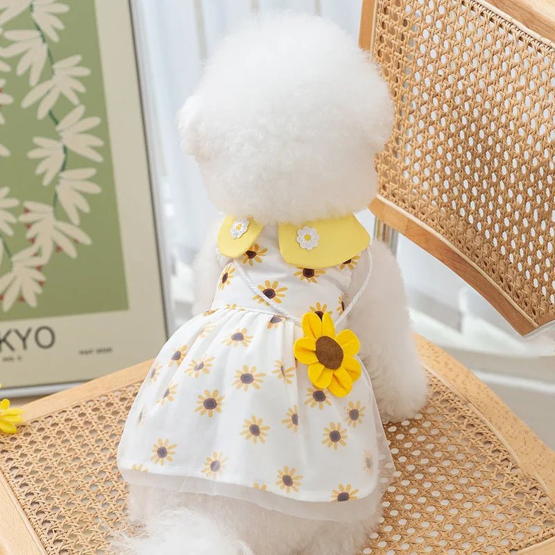 Robe Tournesol pour Petit Chien
