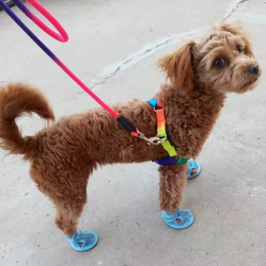 Chaussure Pour Chien Été