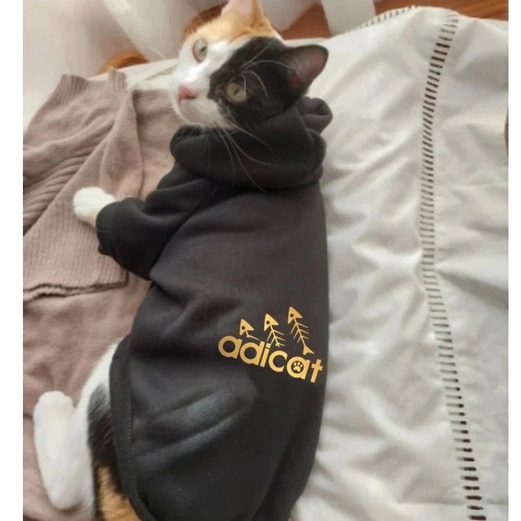 Nathalie Cardone Pn By Anala On Vdeos Cat Sweatshrt, Clothes