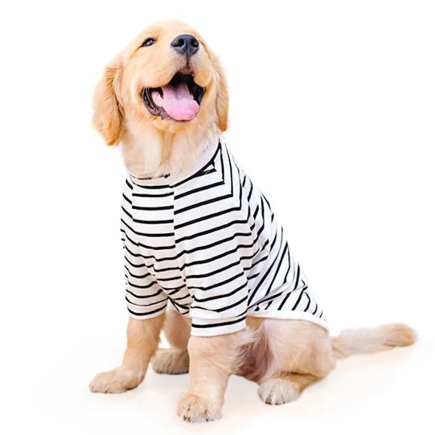 Tee shirt pour grand chien hotsell