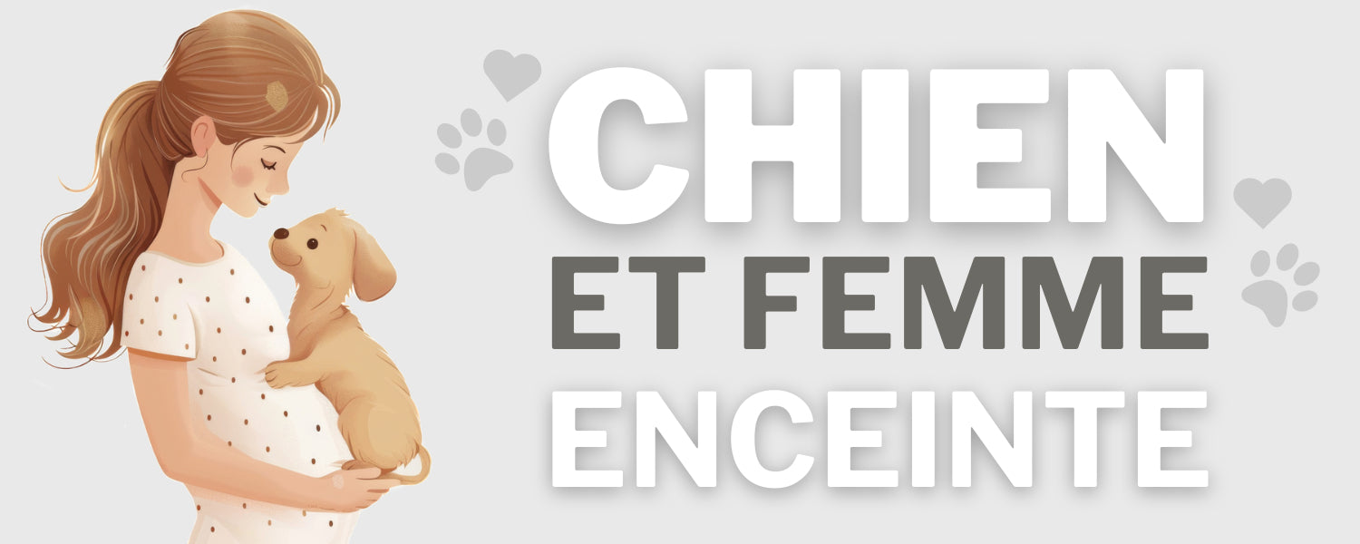 Chien et Femme Enceinte : Toutou sent-il la grossesse ?