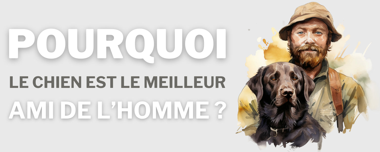 Pourquoi le chien est le meilleur ami de l'homme ?