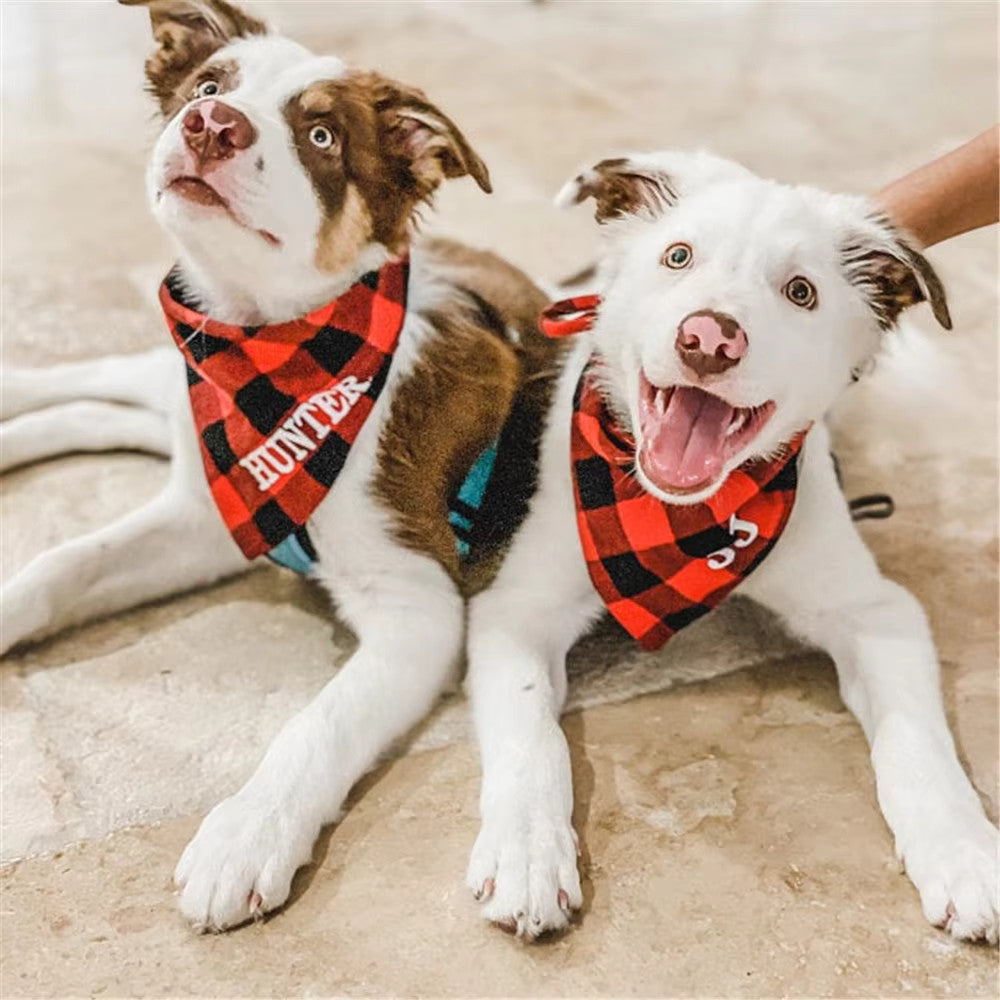 Bandanas chien