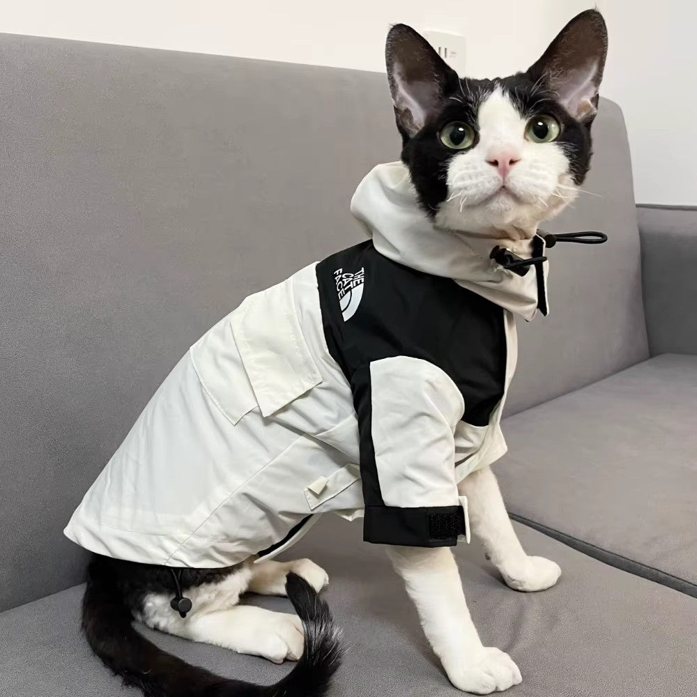 Vêtements pour chat