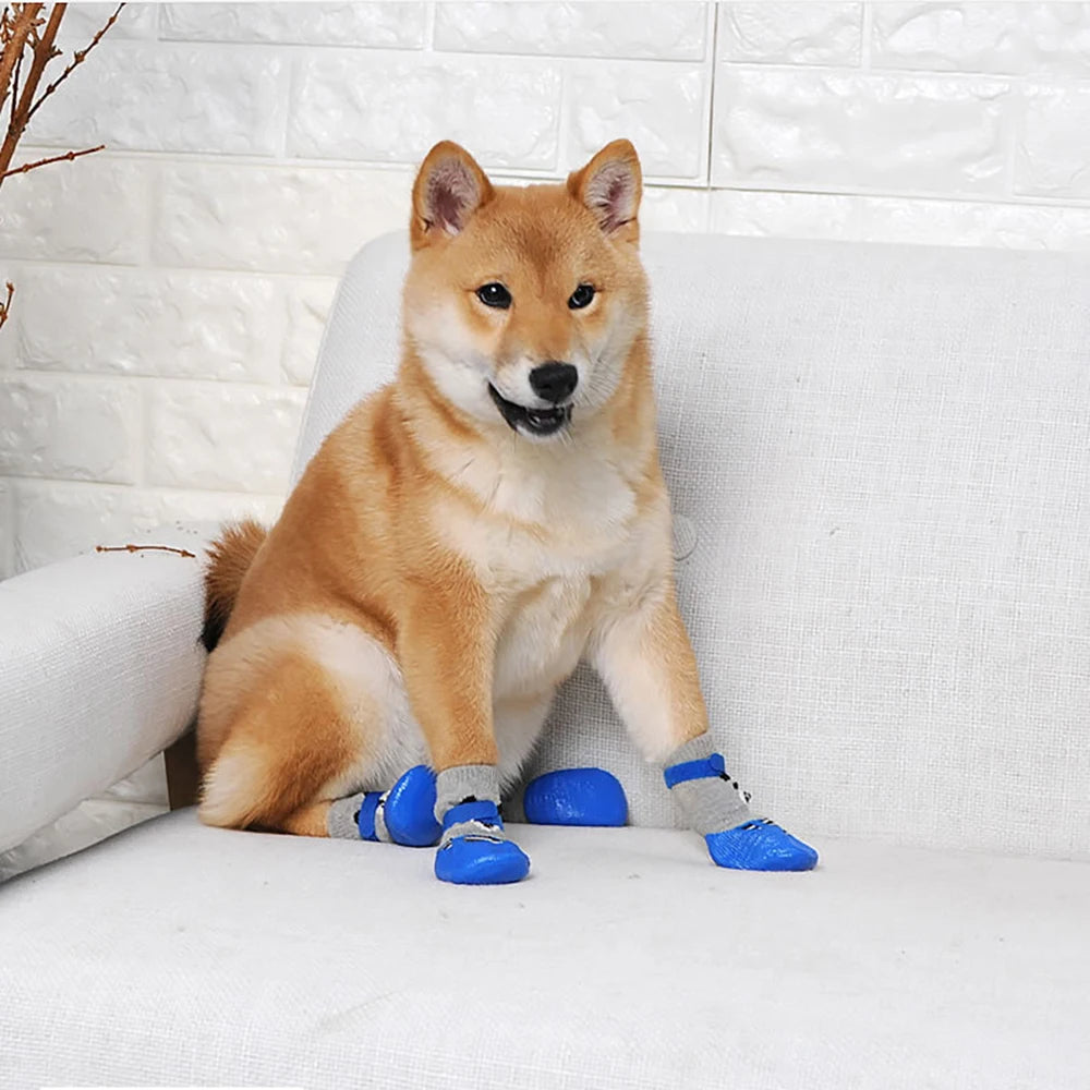 chaussette d'intérieur pour chien