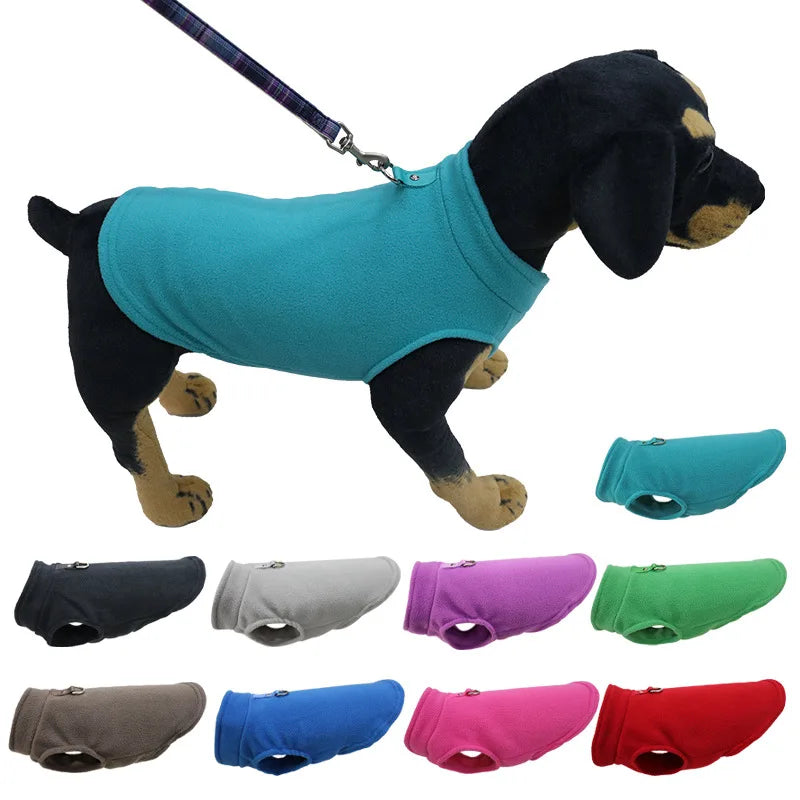 Veste chaude chien