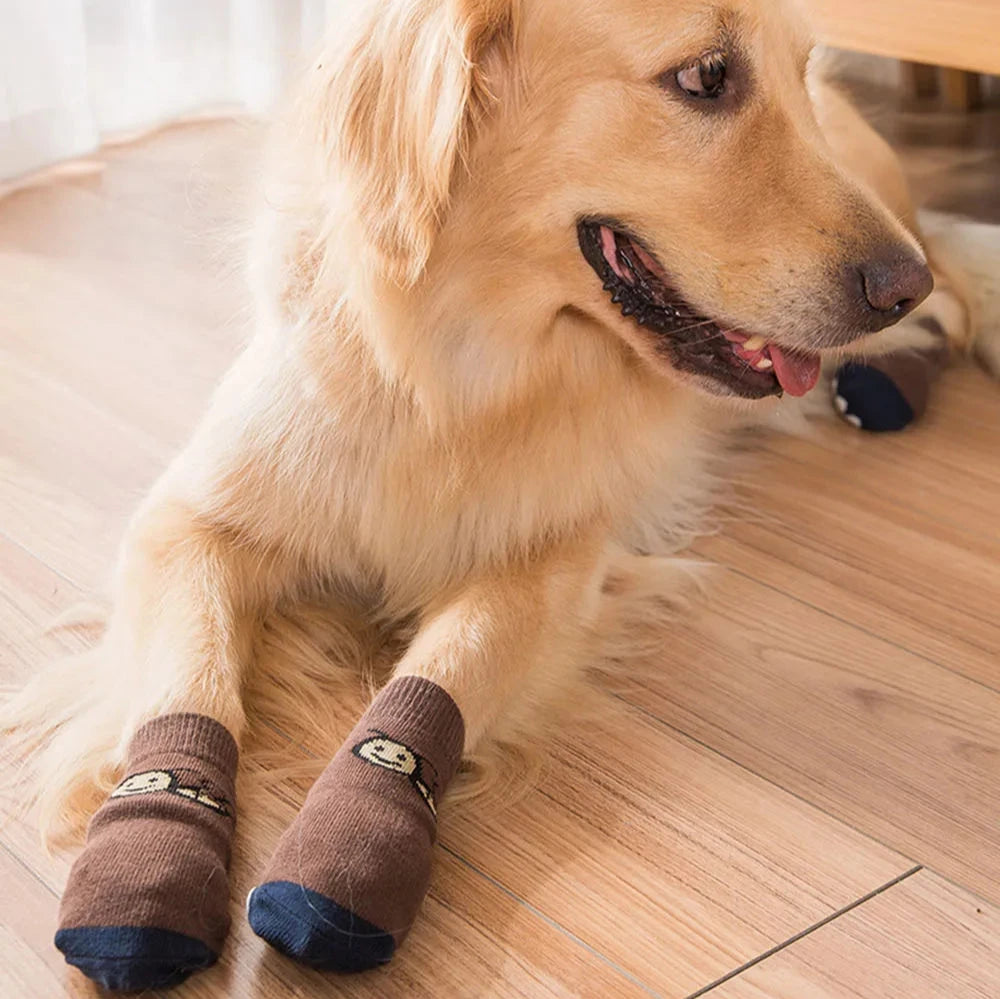 Chaussons Chaussettes Grand Chien