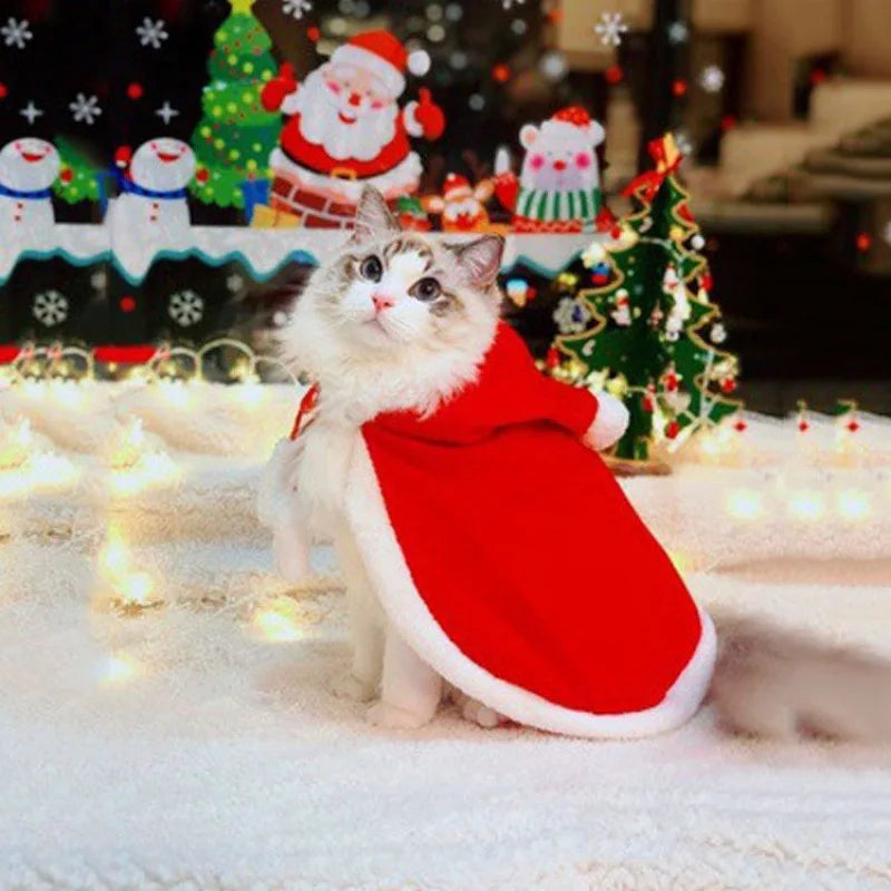 tenue noël chat