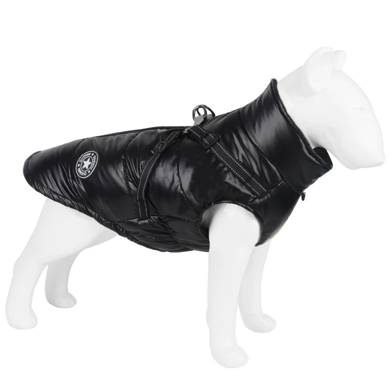 manteau pour petit chien jack russel