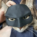 Masque Batman pour Chat - Vignette | La Truffe Pimpante