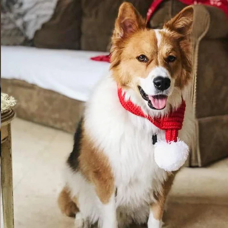 Echarpe de Noël pour Chien