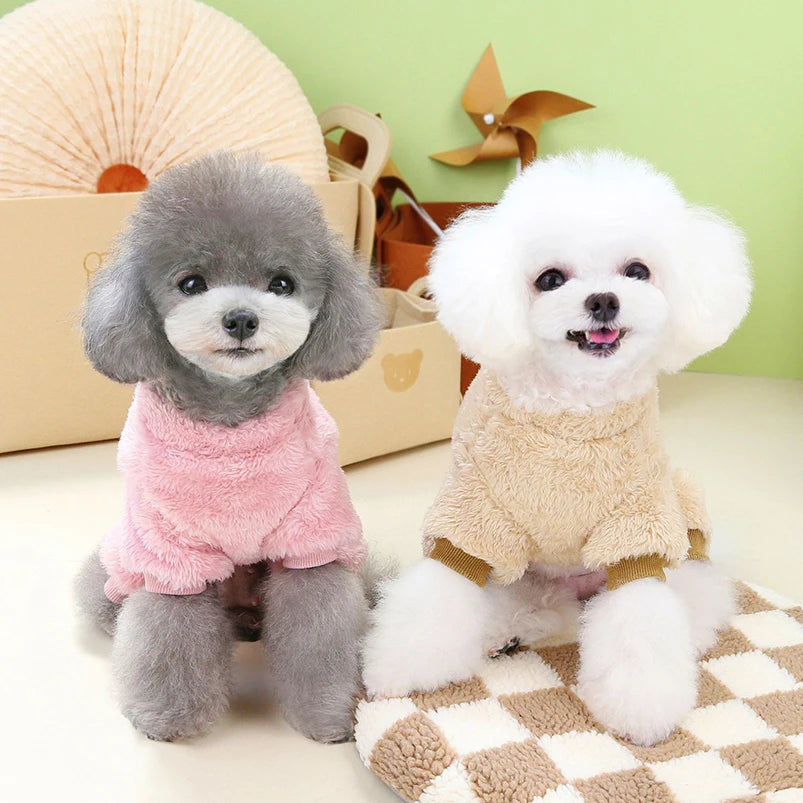 Pyjama pour Bichon