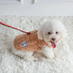 Pull Chaud Chien - Vignette | La Truffe Pimpante