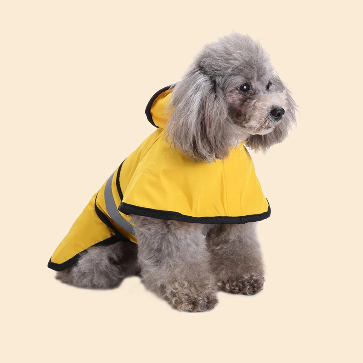 imperméable réfléchissant chien