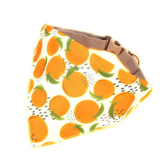 Bandana Chien Fruit Orange