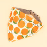 Bandana Chien Fruit Orange - Vignette | La Truffe Pimpante