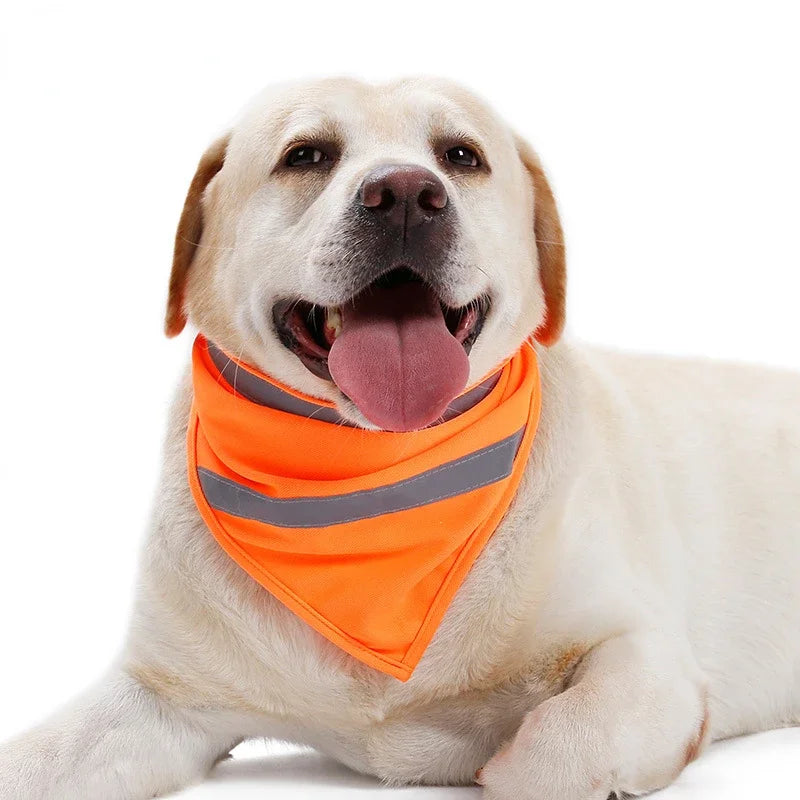 Bandana Orange Chien Réfléchissant