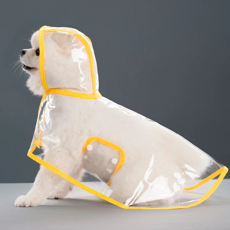 Imperméable chien transparent