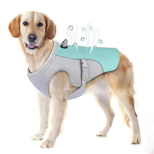 Veste Rafraîchissante pour Chien
