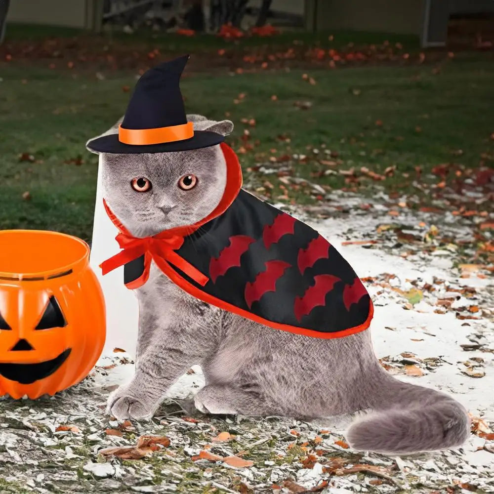 déguisement pour chat halloween 