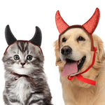 Cornes de Diable pour Chat - Vignette | La Truffe Pimpante