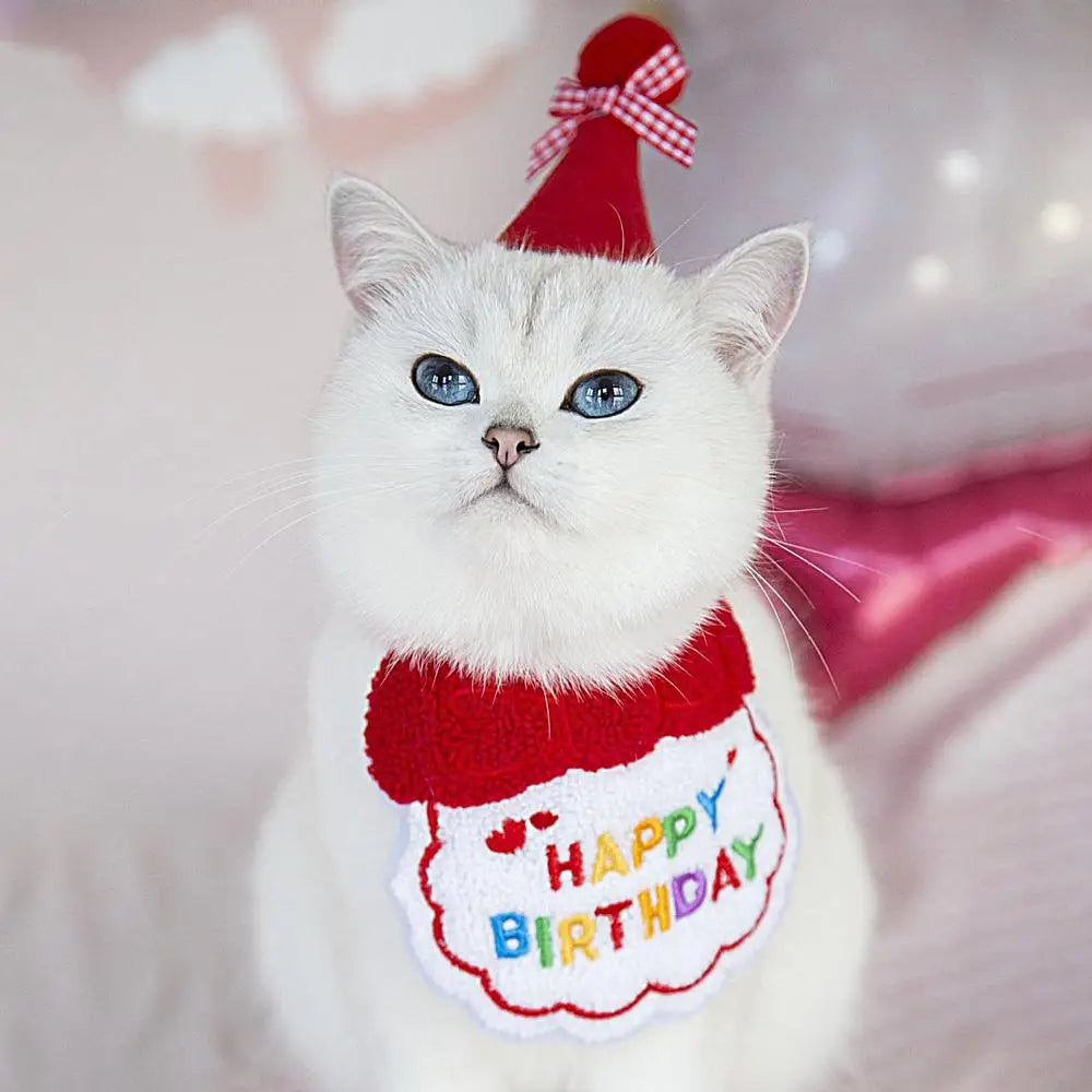 Chapeau Anniversaire Chat