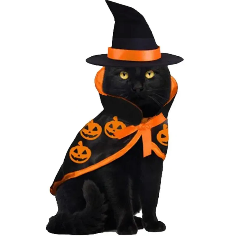 Déguisement Halloween Chat