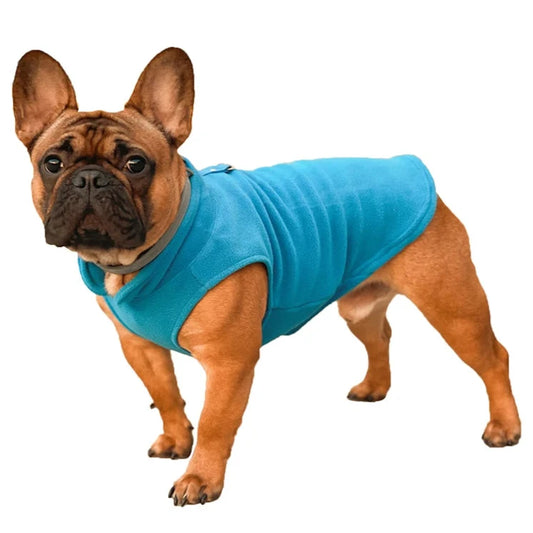 Veste Polaire Chien