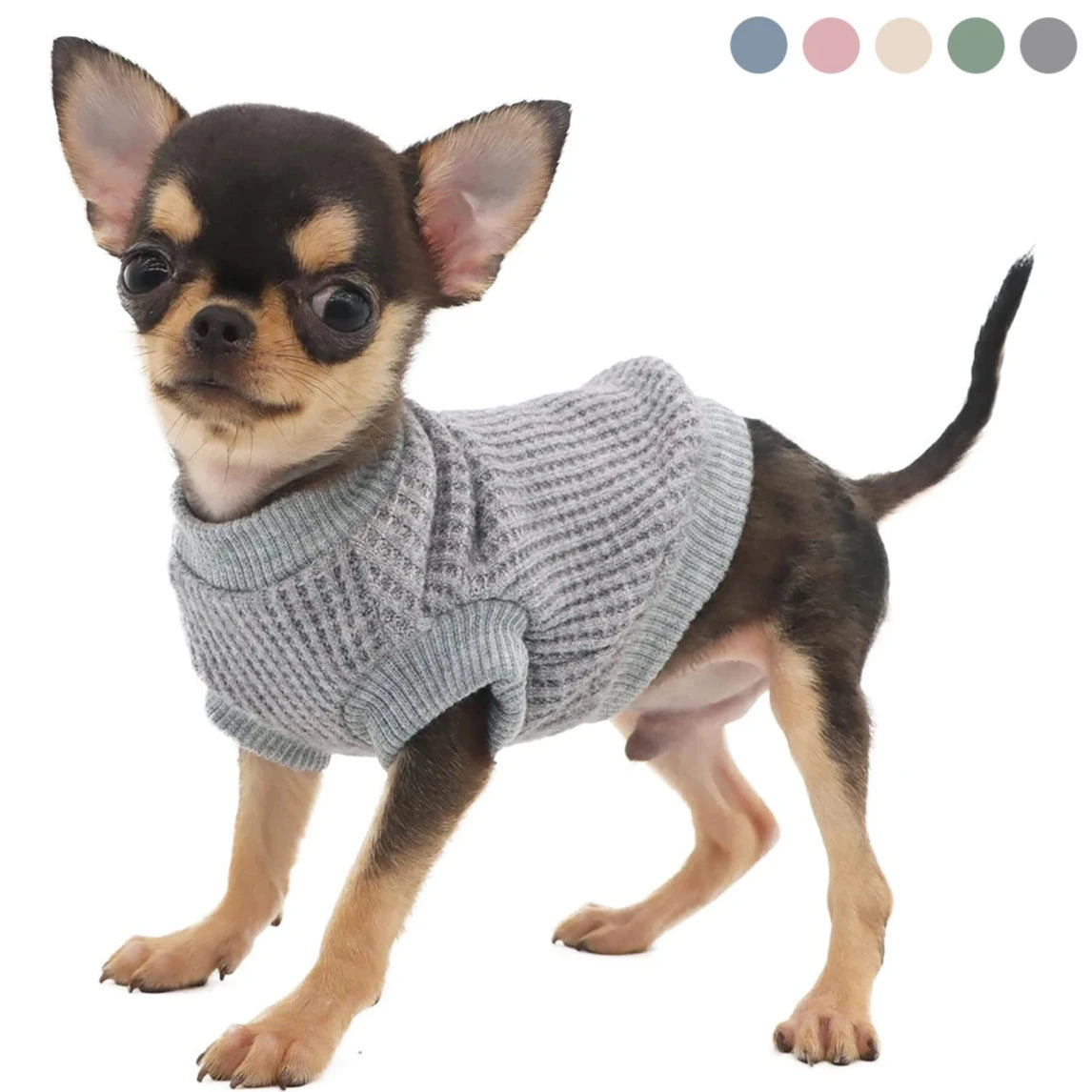 Sweat pour Chihuahua