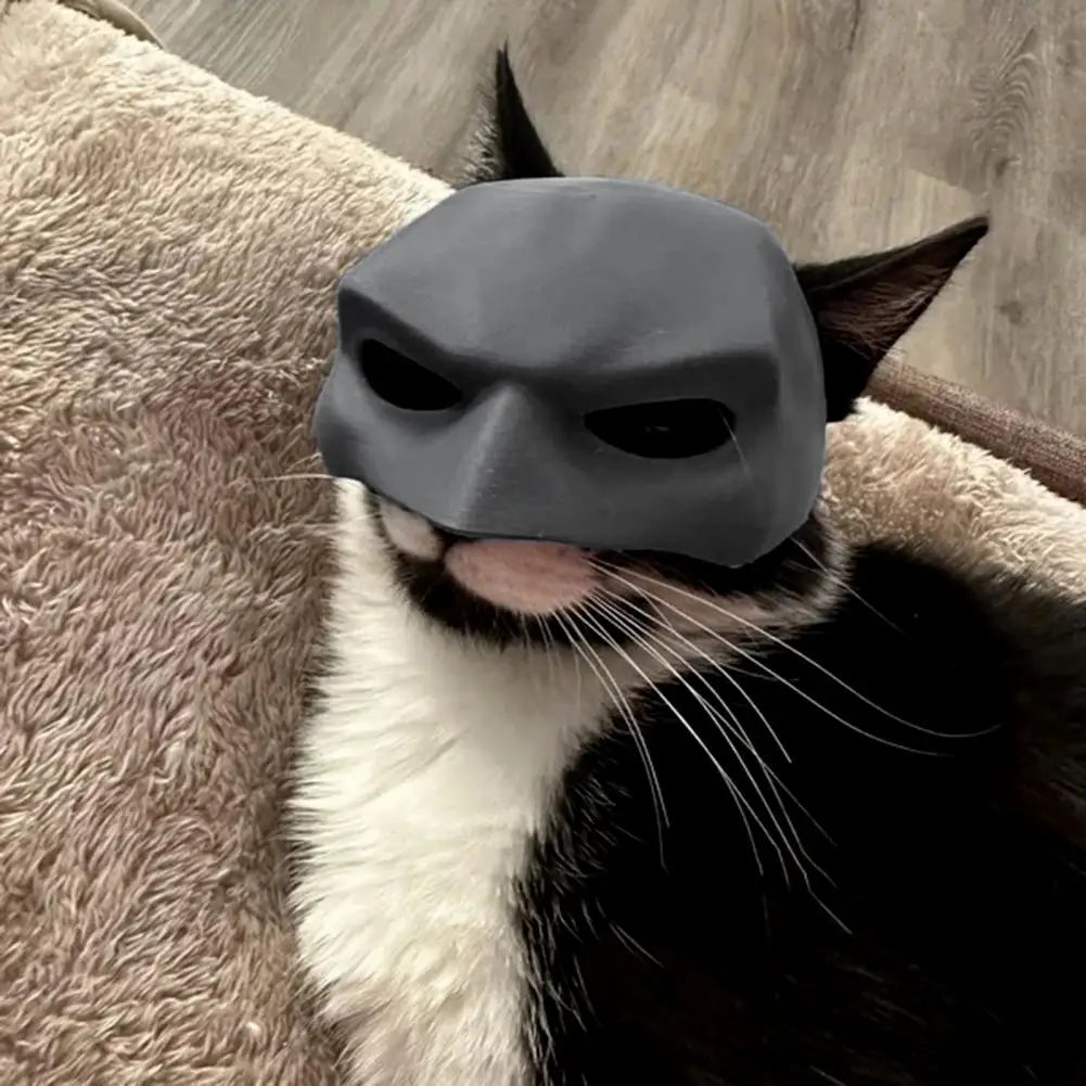 chat batman masque