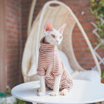 Pull Rayé Col Roulé pour Chat - Vignette | La Truffe Pimpante